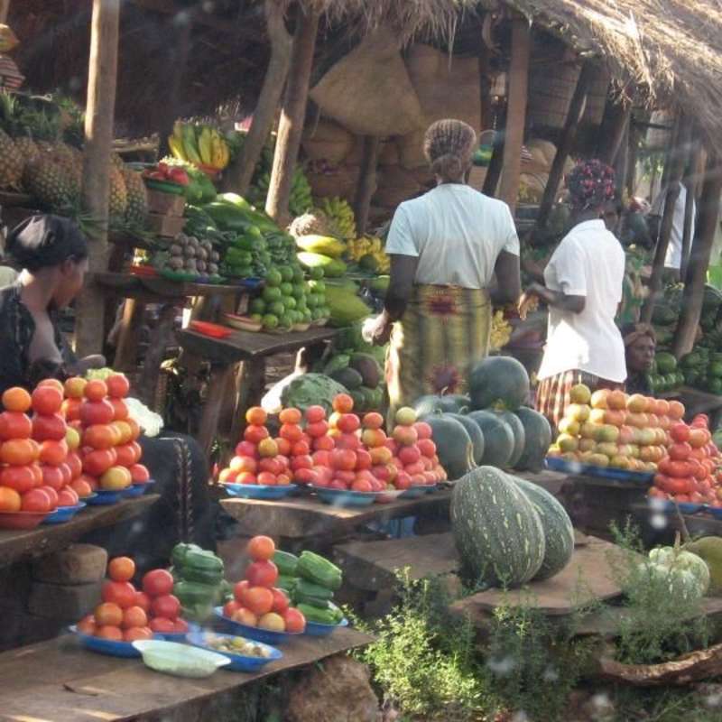 Agricultural conservation assistance in Uganda