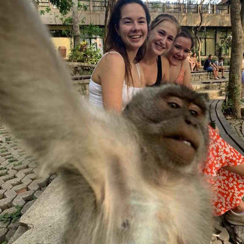 Volunteer in Bali with IVHQ