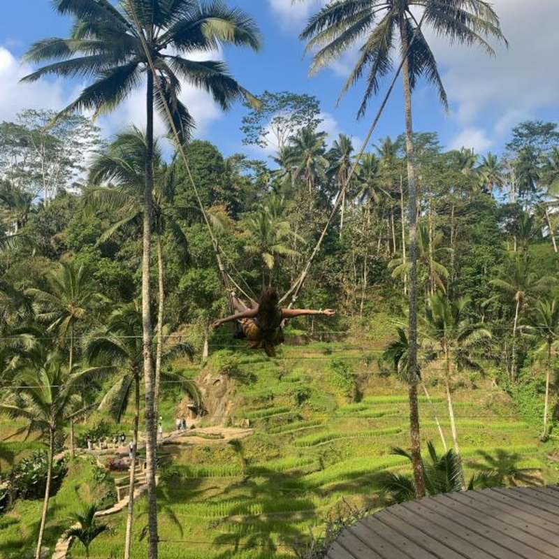 Volunteer in Bali with IVHQ