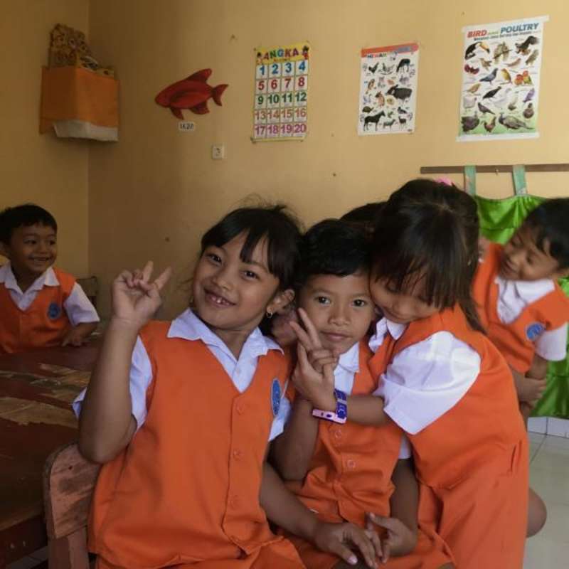 Volunteer in Bali with IVHQ