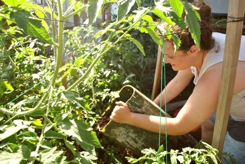 Urban Agriculture & Sustainable Farming Internship, Ecuador