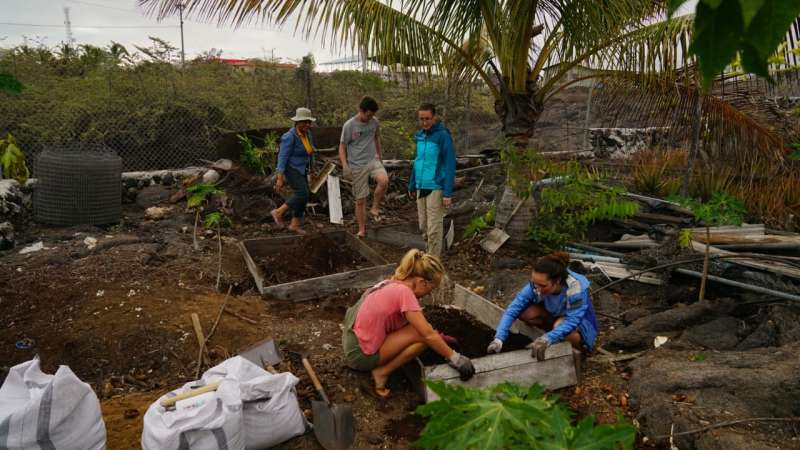 Urban Agriculture & Sustainable Farming Internship, Ecuador