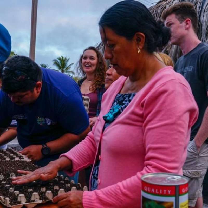 Sustainable Agriculture & Urban Farming
