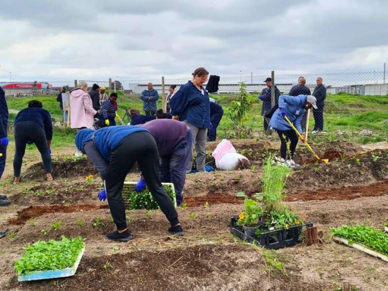 Urban Farming in Cape Town, South Africa