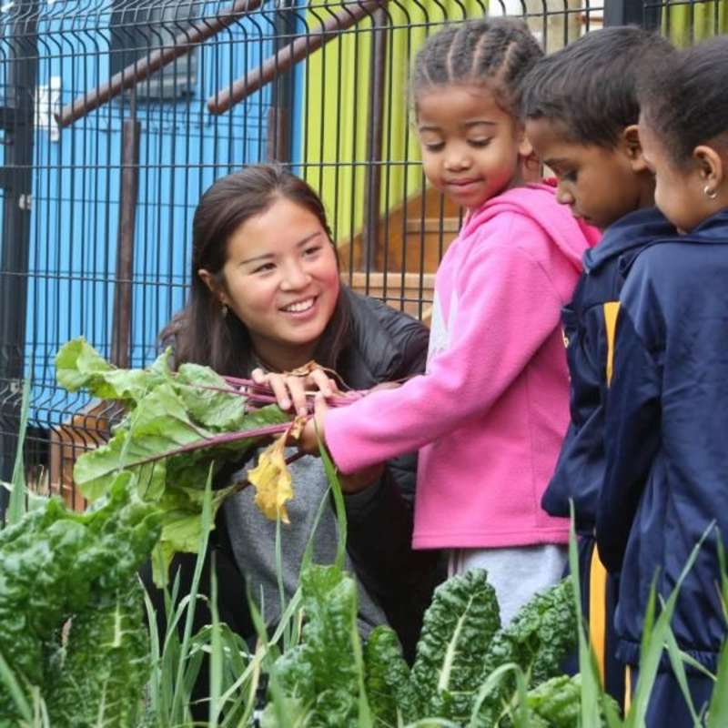 organic farming internship