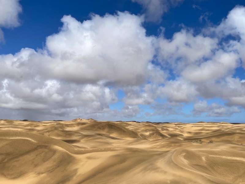 Vast golden sand dunes stretch under a dramatic cloudy blue sky in the Namib Desert, Namibia