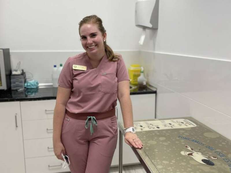 Veterinary Intern