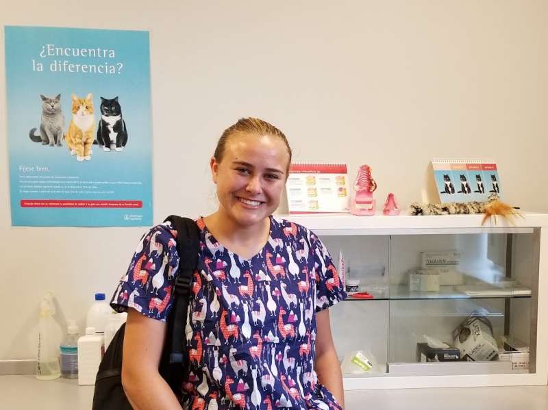 Veterinary Intern