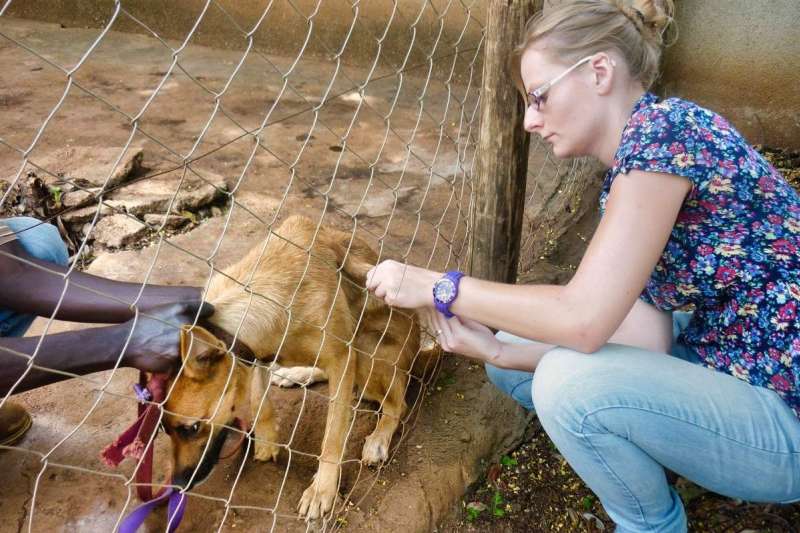 Veterinary Internship at Kilimanjaro, Tanzania