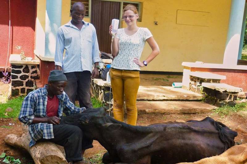 Veterinary Internship at Kilimanjaro, Tanzania