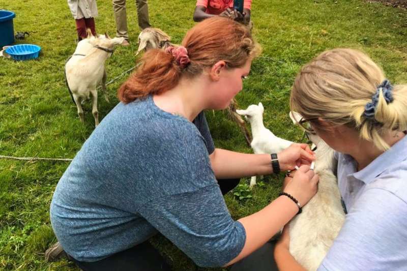 Veterinary Internship at Kilimanjaro, Tanzania