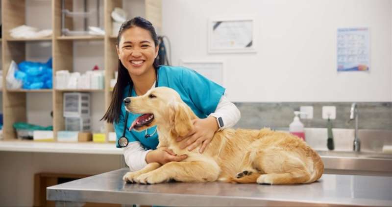 Veterinary internships