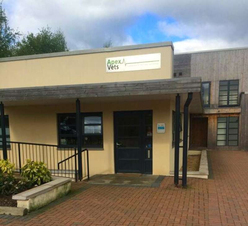 Veterinary Science Placement Site - Intern in Scotland - Adelante Abroad 