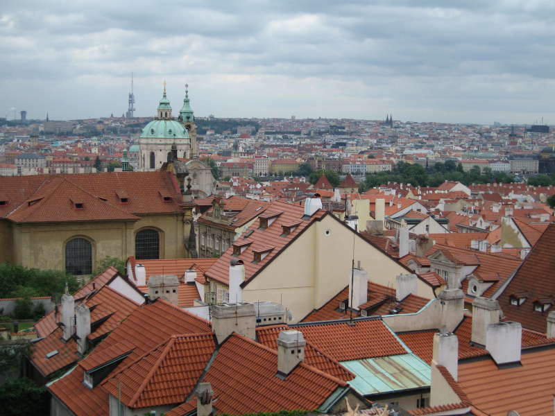 Virtual International Internships in Czech Republic