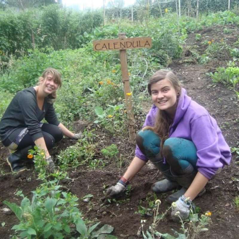 Volunteers at work
