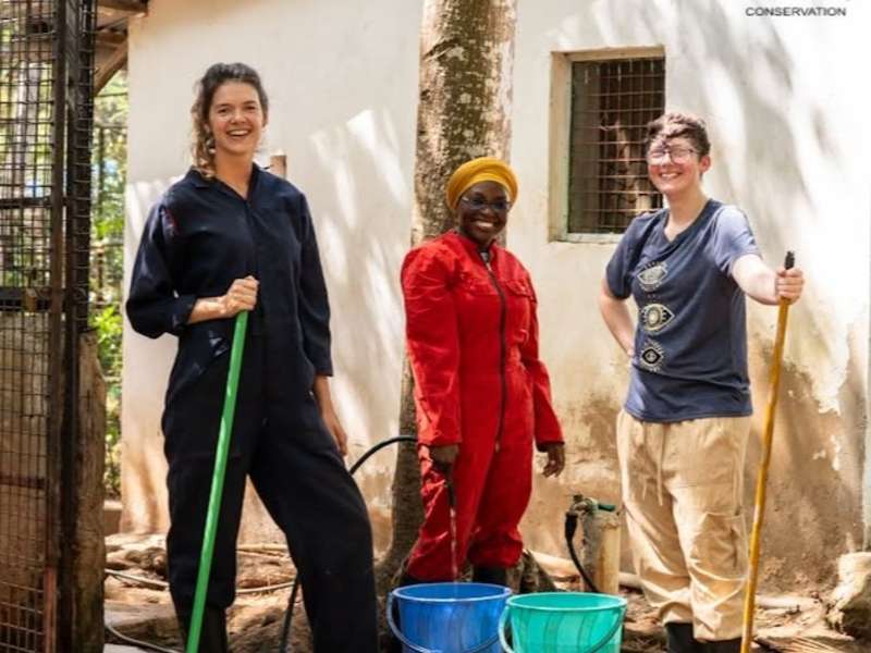 Volunteer at Colobus Conservation