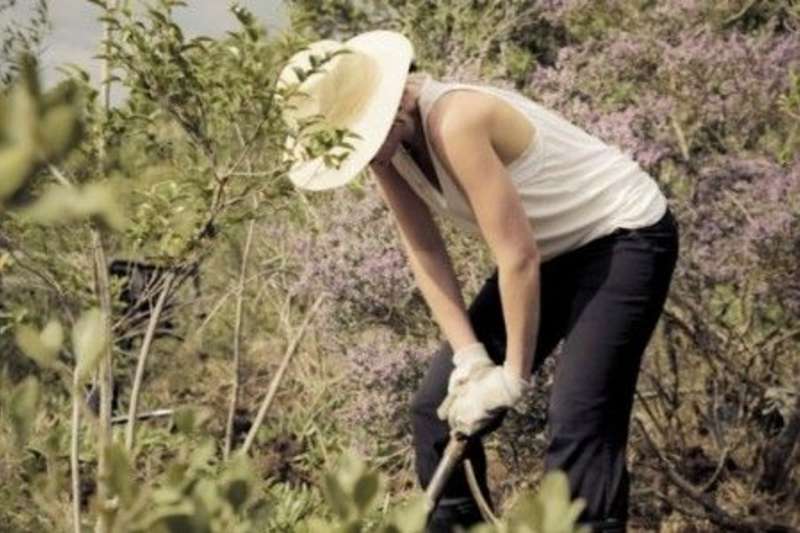 volunteer digging