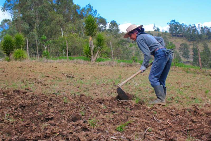 Volunteer in Ecuador