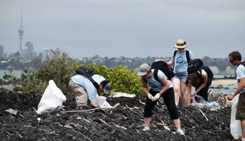 Volunteers doing coastal cleanup