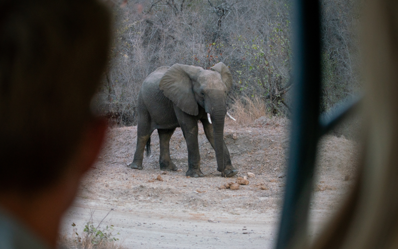 Volunteer in South Africa - Expeditions With Purpose