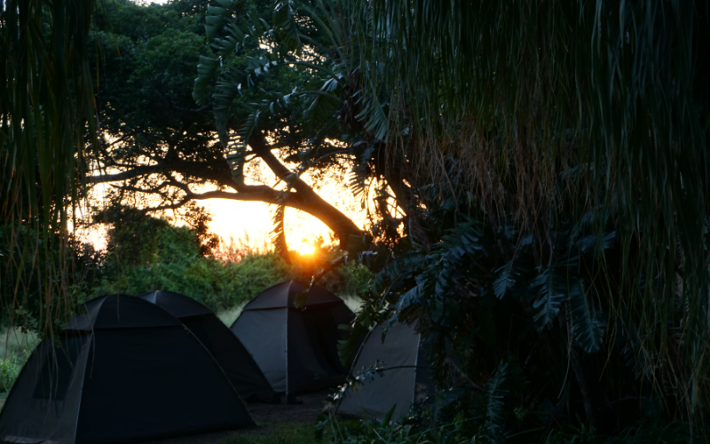 Volunteer in South Africa - Expeditions With Purpose