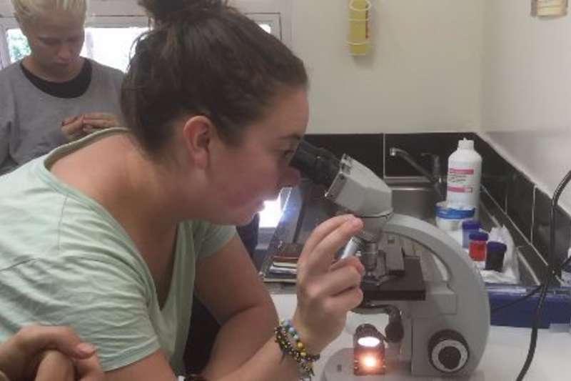 volunteer on a microscope