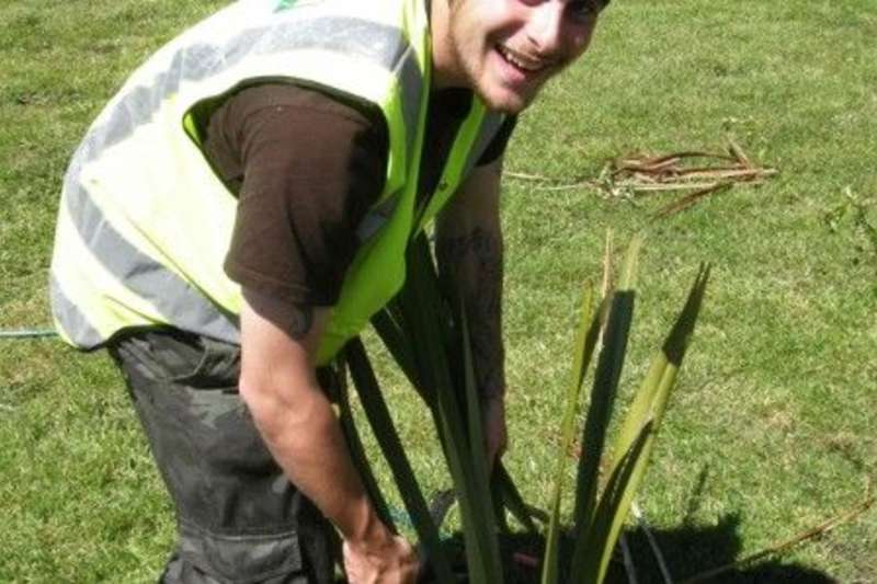 Volunteer planting