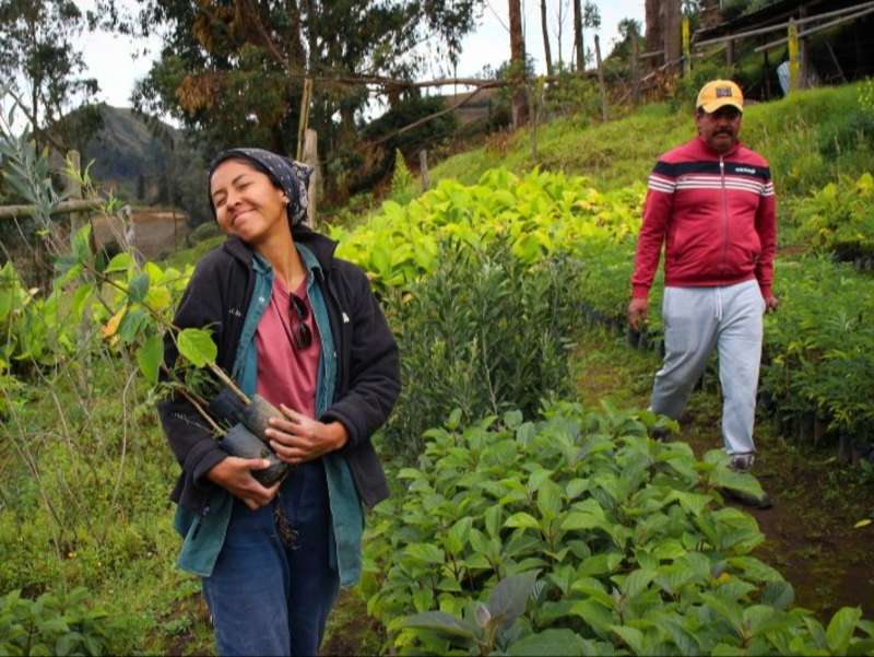 volunteer-tree-planting-andean-garden-ecuador
