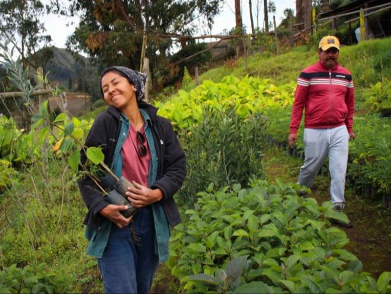 volunteer-tree-planting-andean-garden-ecuador