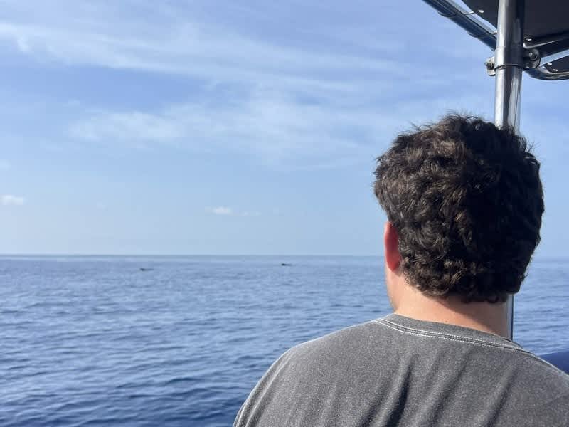 Volunteer watching for cetaceans from the survey boat