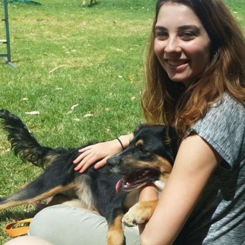GoEco South Africa - Animal Rescue and Veterinary Shelter