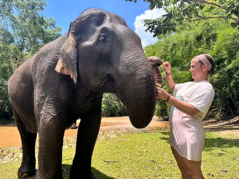 Volunteer with elephant in local Thai jungle feeding