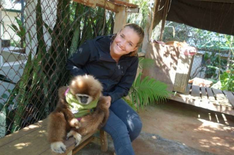 volunteer with gibbons