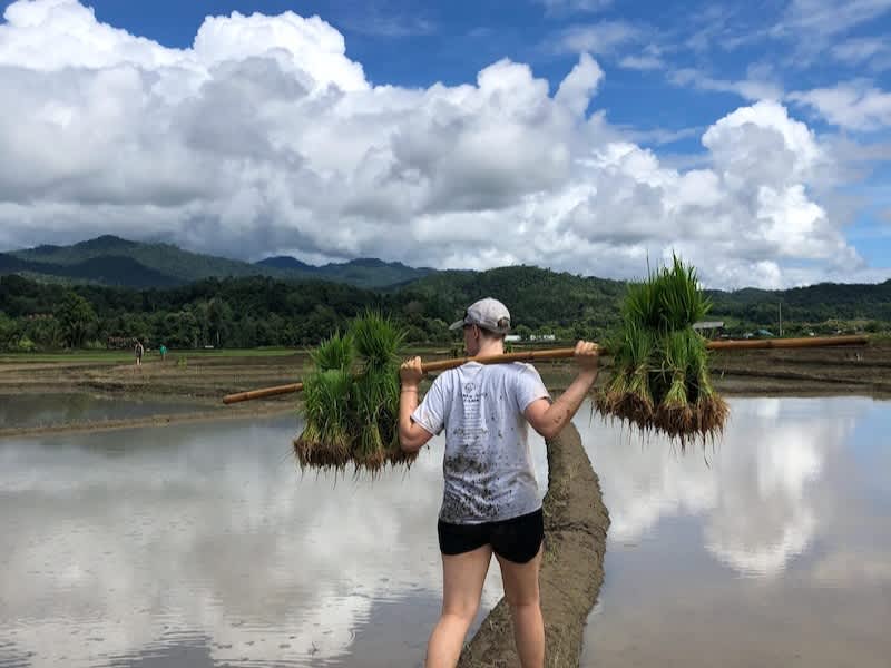 Volunteer working on rice paddies in the middle of Thailand jungle