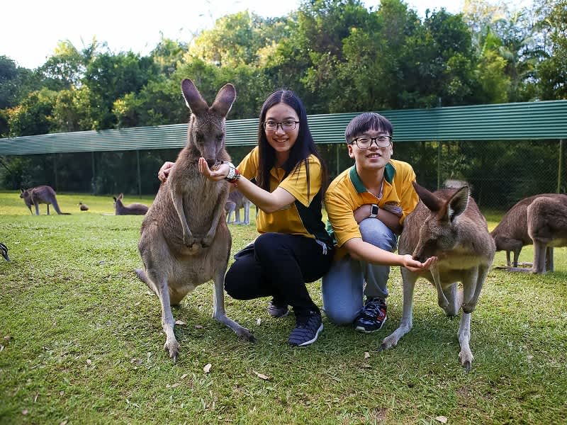 Volunteering at zoo