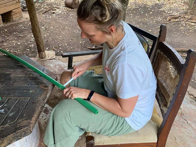 Volunteering in action