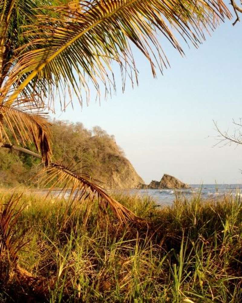 Volunteer in Costa Rica 