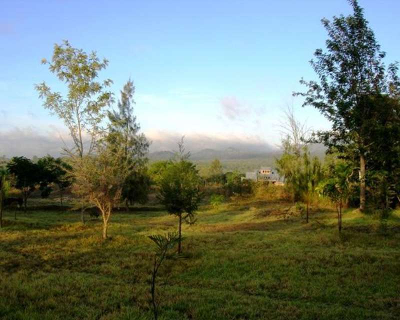 Volunteer in Tanzania 