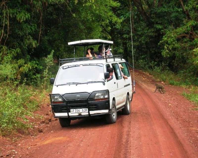 Volunteer in Tanzania 