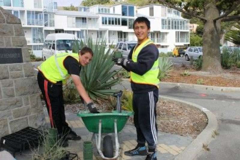 Volunteers Auckland Environmental Conservation North Island in New Zealand