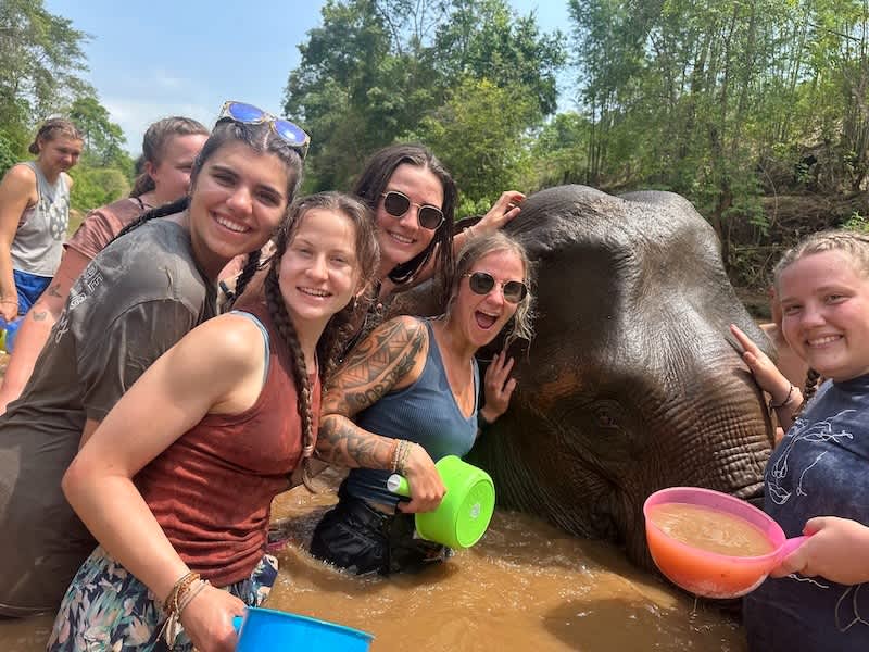 Volunteers bathing elephant in local river in Thailand