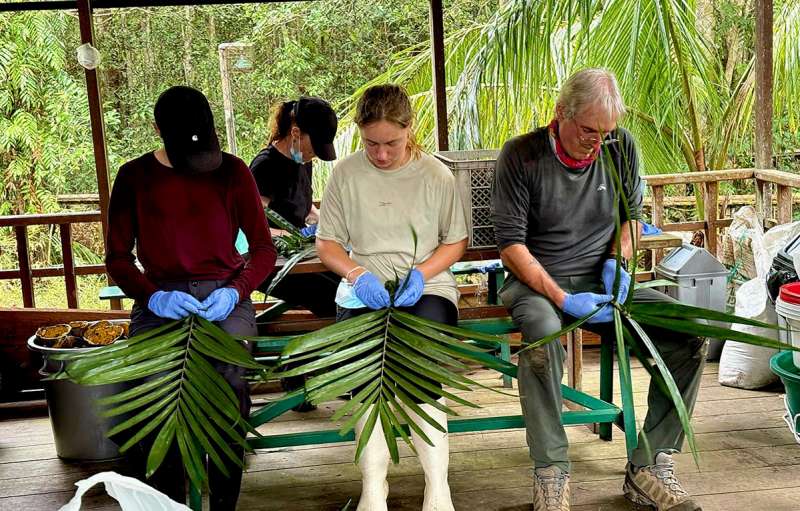 Volunteers Making Enrichment