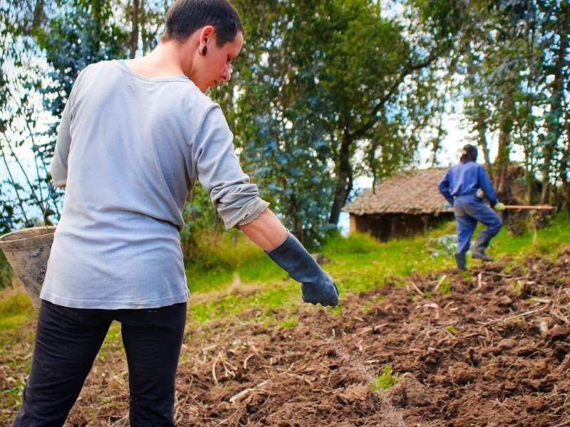volunteers-preparing-soil-planting-field