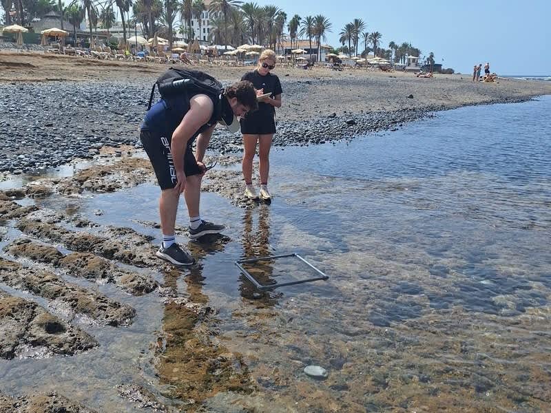 Volunteers running a rock pool survey on the Tenerife coast