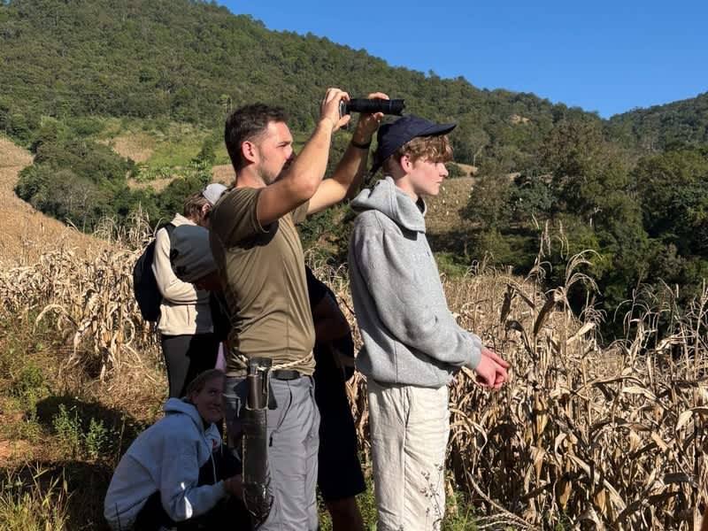 Volunteers scanning a hillside with binoculars during a survey