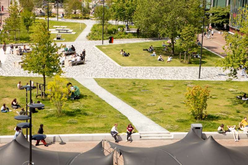VU Amsterdam campus