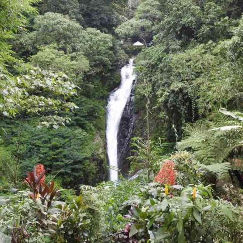 Lovina Waterfall