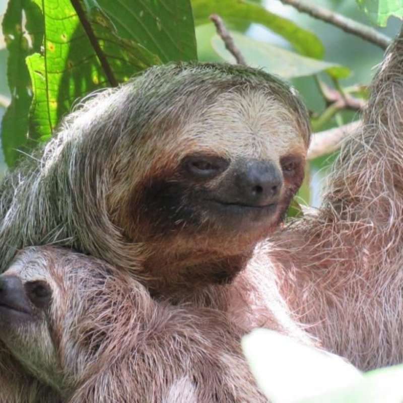 costa rica, teen travel, global works