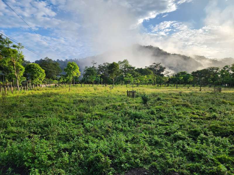 Wildlife Conservation Program in Ecuador