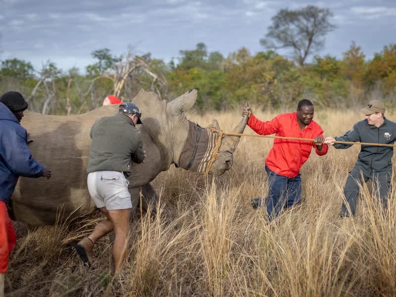 Wildlife Photography and Conservation Volunteer Project